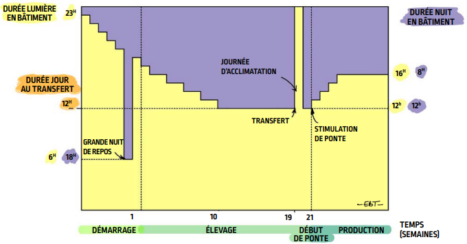 P64_fig111_fr