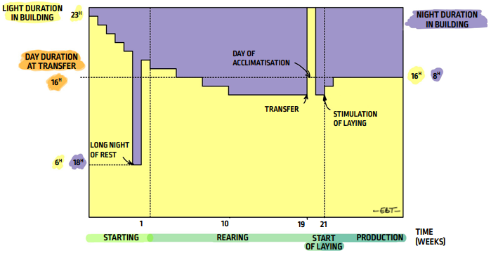 P65_fig113_EN