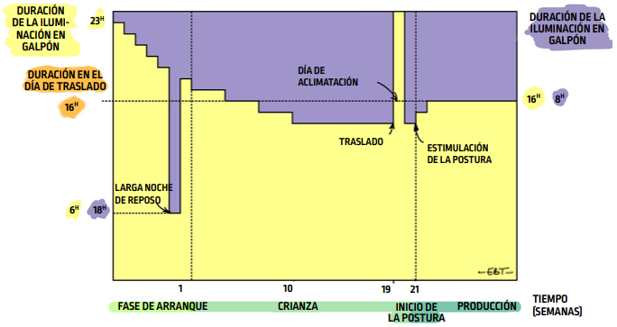 P65_fig113_es