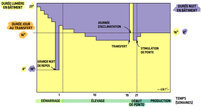 P65_fig113_fr