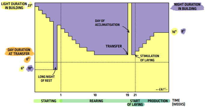 P66_fig115_EN