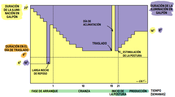 P66_fig115_es