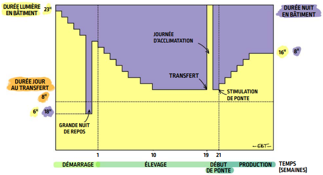 P66_fig115_fr