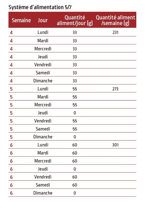 P75_SYSTEME_ALIMENTATION_5_7