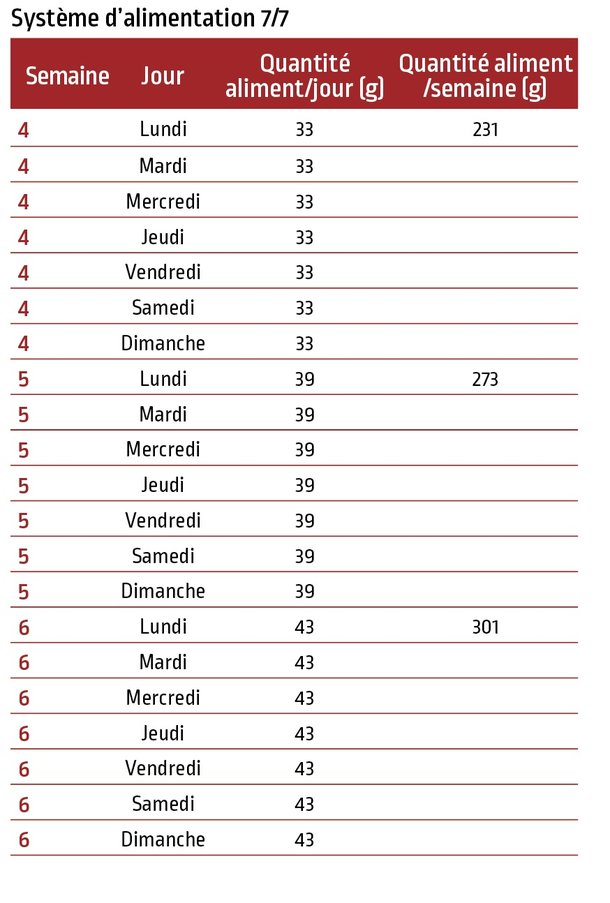 P75_SYSTEME_ALIMENTATION_7_7