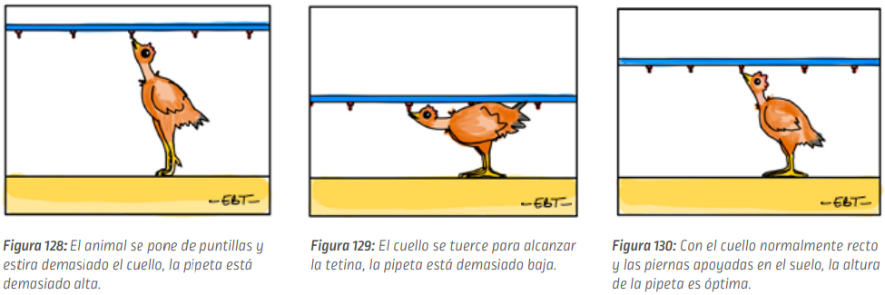 P76_fig128-130_es