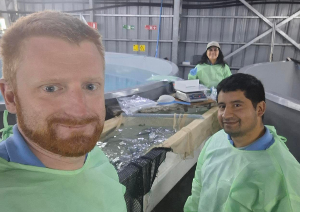 PPE Chile 3
