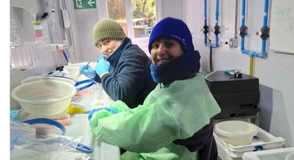 PPE Chile 4