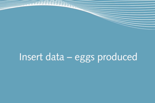 PRIMA insert data eggs produced.png