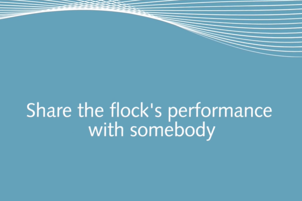 PRIMA share flock performance.png