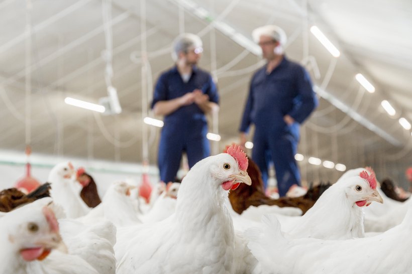 How to improve your biosecurity?  25 ways to bring your biosecurity to the next level