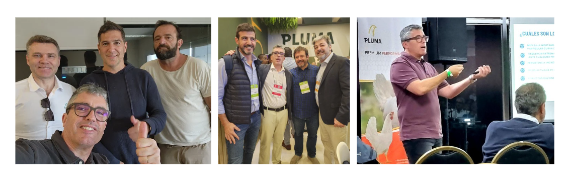 Pluma Grupo