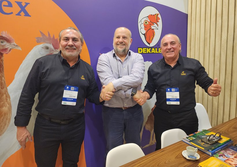 Grupo Pluma arrives to bring the distribution of Dekalb in Argentina to the next level