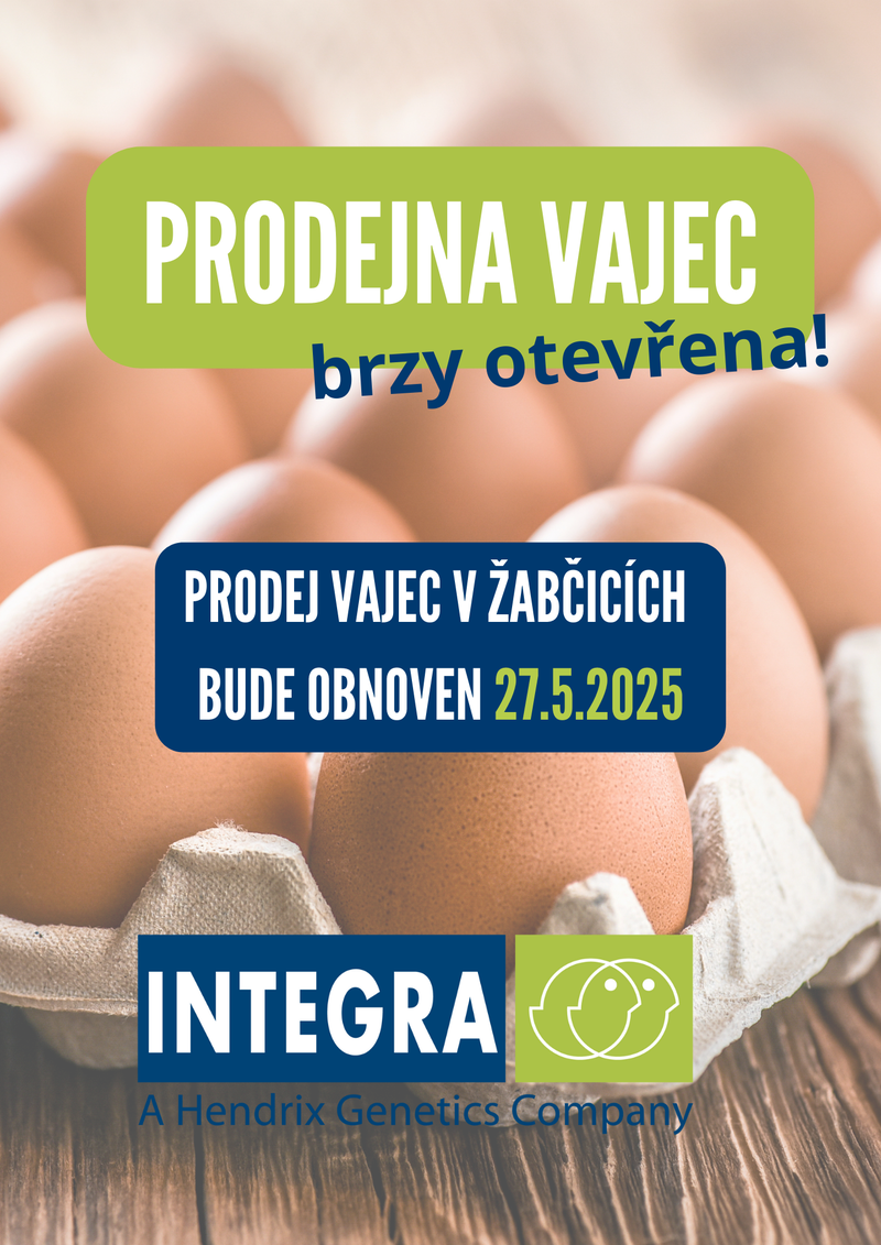Prodej obnoven Žabčice (3)
