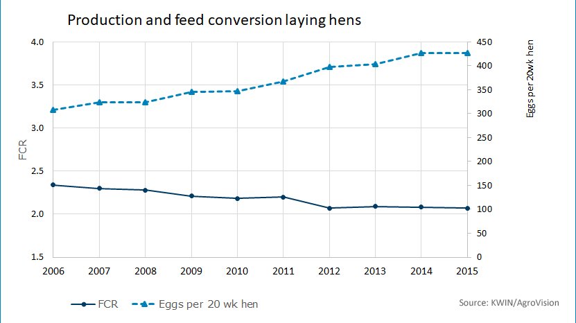 Production and feed conversion laying hens