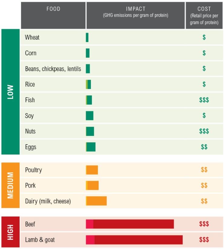 Proteinscorecard.JPG