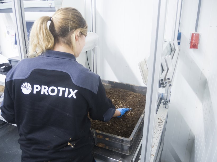 Partenariat avec Protix pour la selection d'insectes