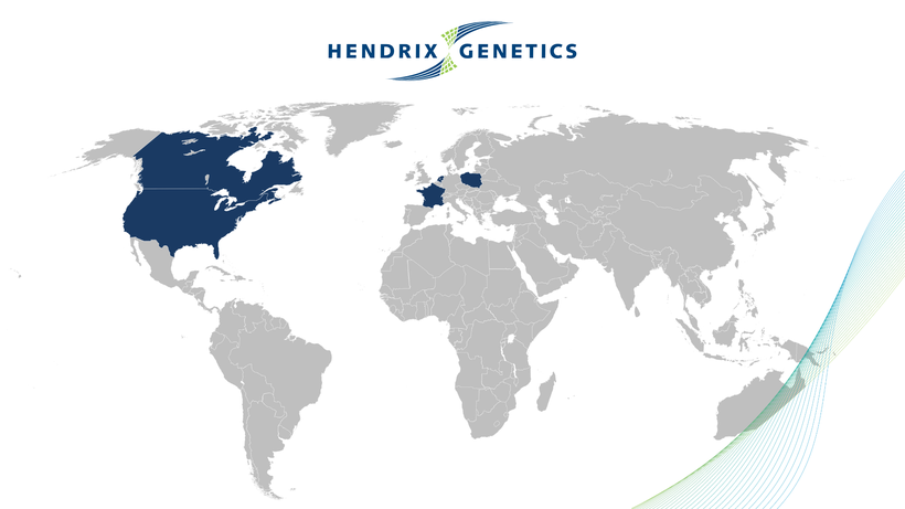 Hendrix Genetics invests €10 million to drive innovation in Turkey genetics