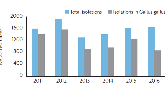 Reported isolations of Salmonella enteritidis from animals in EU.png