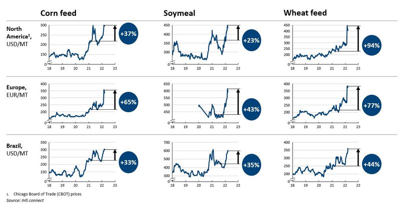 Rising Feed costs