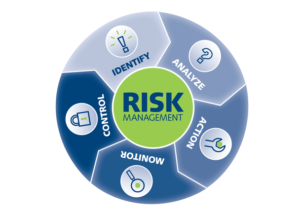 Risk mgmt graphic.PNG