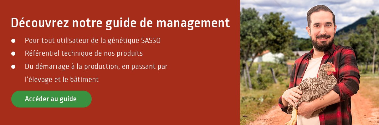 SASSO_Management_guide_banner_FR.jpg