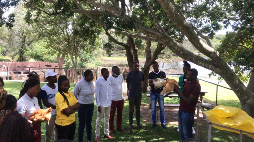Successful dual purpose poultry trainings in Mozambique and Zimbabwe