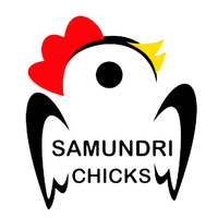 Samundri 1 logo