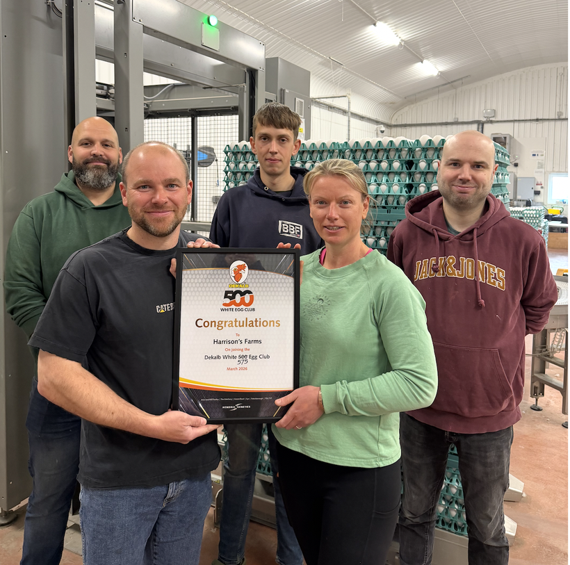 Harrisons Farms: The Journey to a Record-Breaking 575 Eggs Per Hen Housed