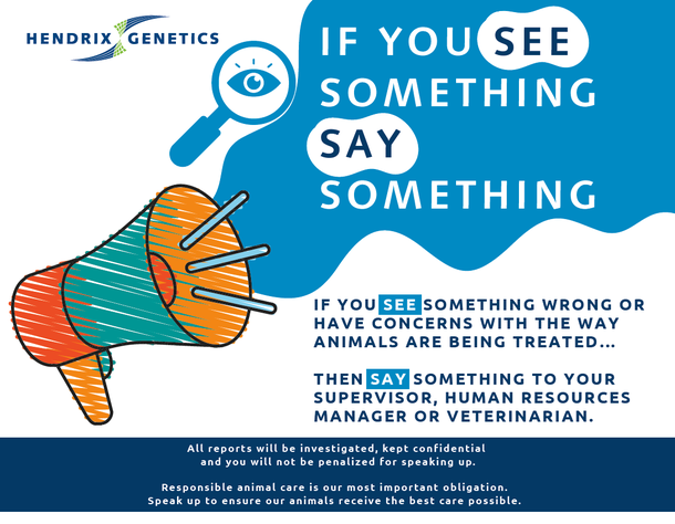 See something poster