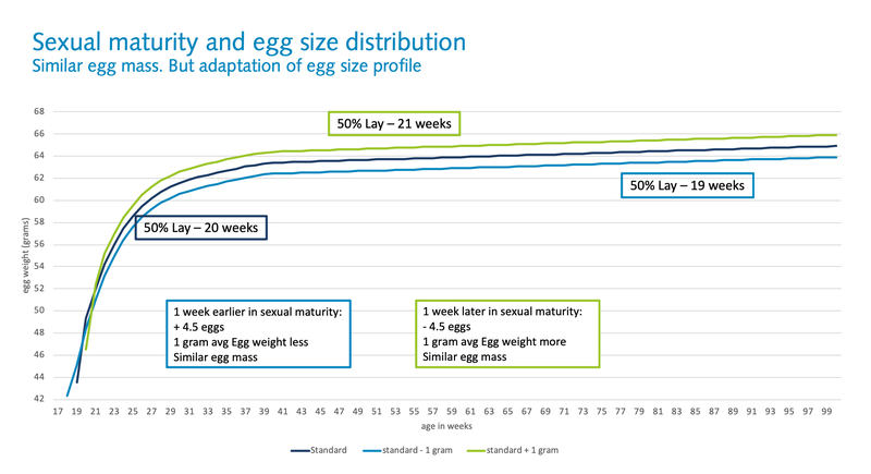 Sexual Maturity and egg size distribution