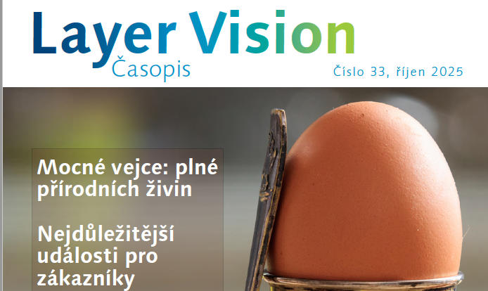 Podzimní vydání Layer Vision, 33. číslo