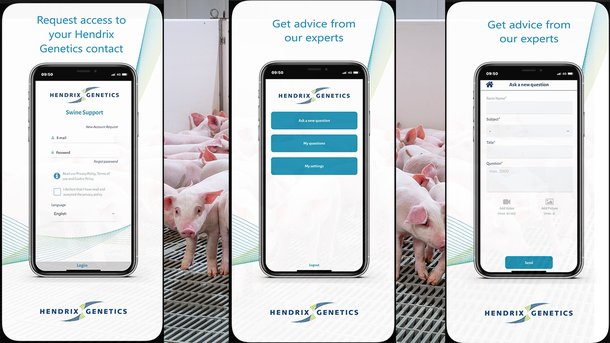 Swine Support App_2.jpg