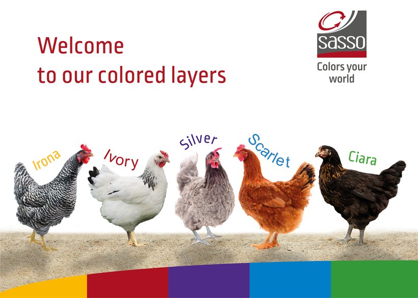 Introducing our new traditional colored layers
