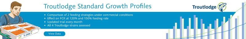TL Growth Profile Thumbnail.png