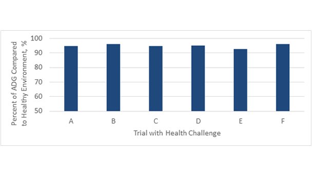 Hypor Trial