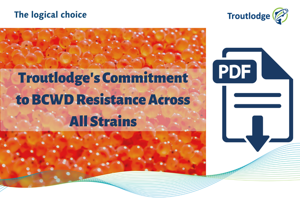 Troutlodge'sCommitment to BCWD ResistanceAcross All Strains