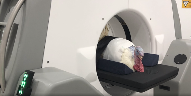 Innovations R&D : le CT-scan
