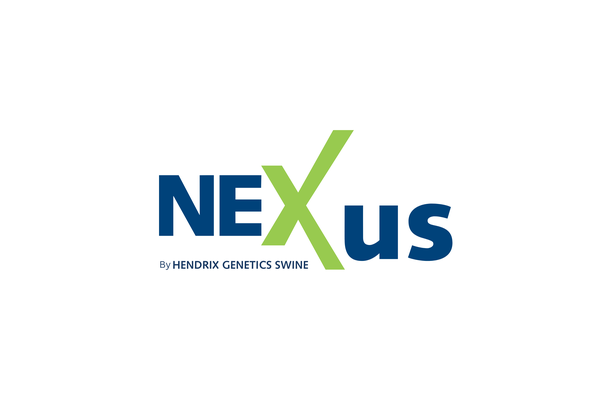 Nexus Logo