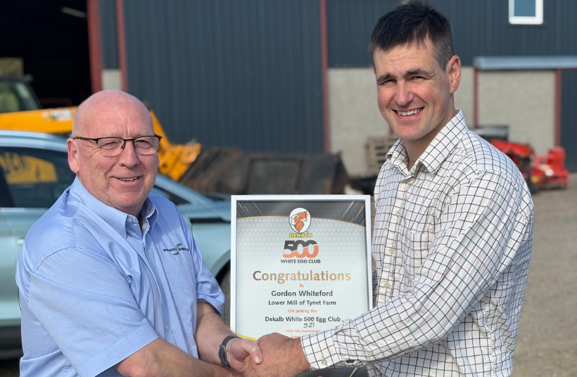 Traditional Farming Meets Innovative Diversification Strategies at Lower Mill of Tynet Farm