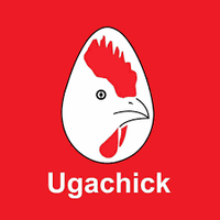UGACHICK.png