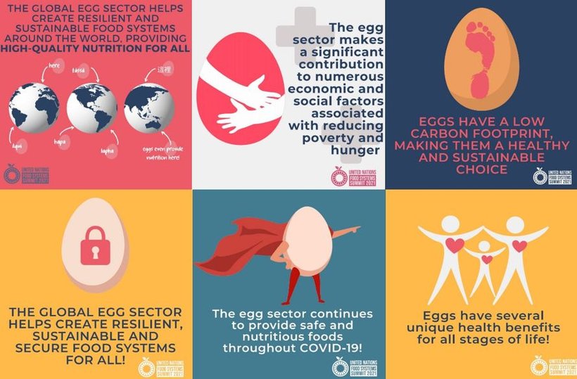 The role of eggs in sustainable food systems