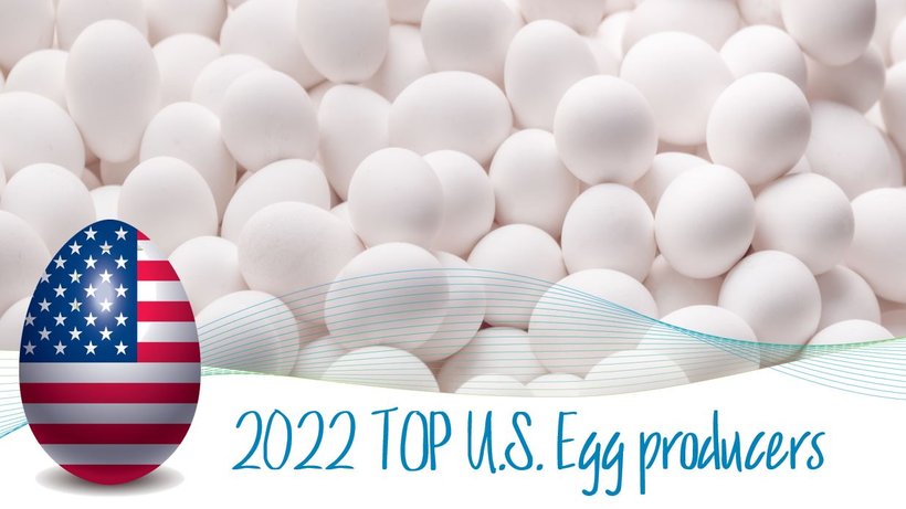 Top U.S. egg producer Ranking of 2022