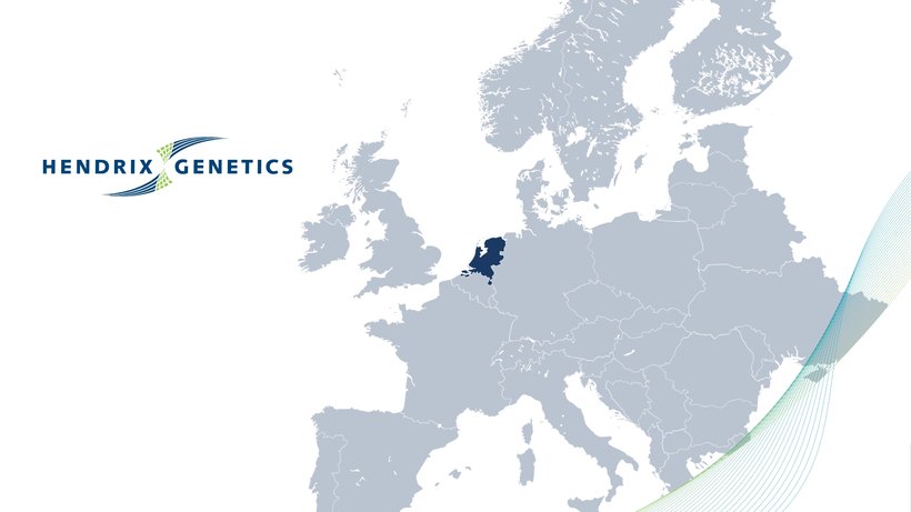 Hendrix Genetics strengthens its poultry innovation with strategic investment