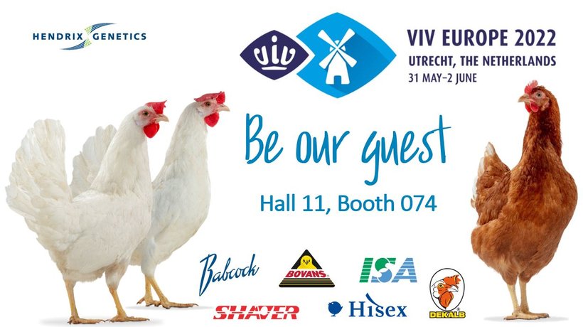 VIV 2022, come join the global gathering of the poultry sector in Utrecht