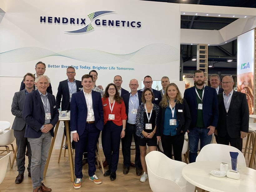 Successful VIV Europe tradeshow for SASSO and Hendrix Genetics