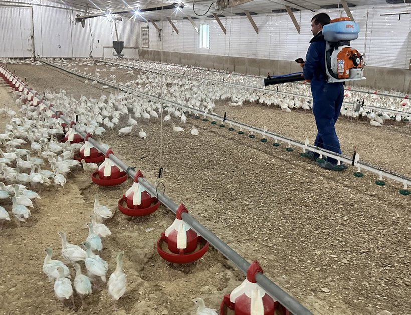 Guest Feature: aMPV Spray Vaccination Checklist
