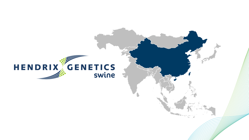 Announcement on Hendrix Genetics Swine China Business