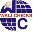 Wali Feed and Chicks.jpg