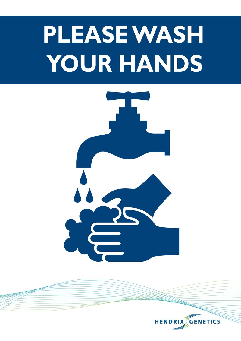 Wash Your Hand Poster_A3 (1).jpg